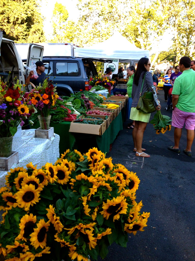 Sonoma, Farmer's Market, Sunflower