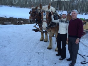 Two Belgian horses that gave us a ride home in a sleigh.