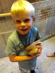 Grandson with our pet chicken