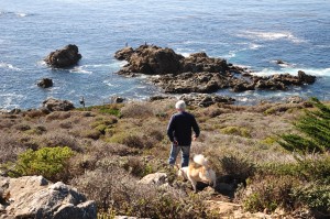 The hiking path below Rocky Point Restaurant, south of Carmel-by-the-Sea.